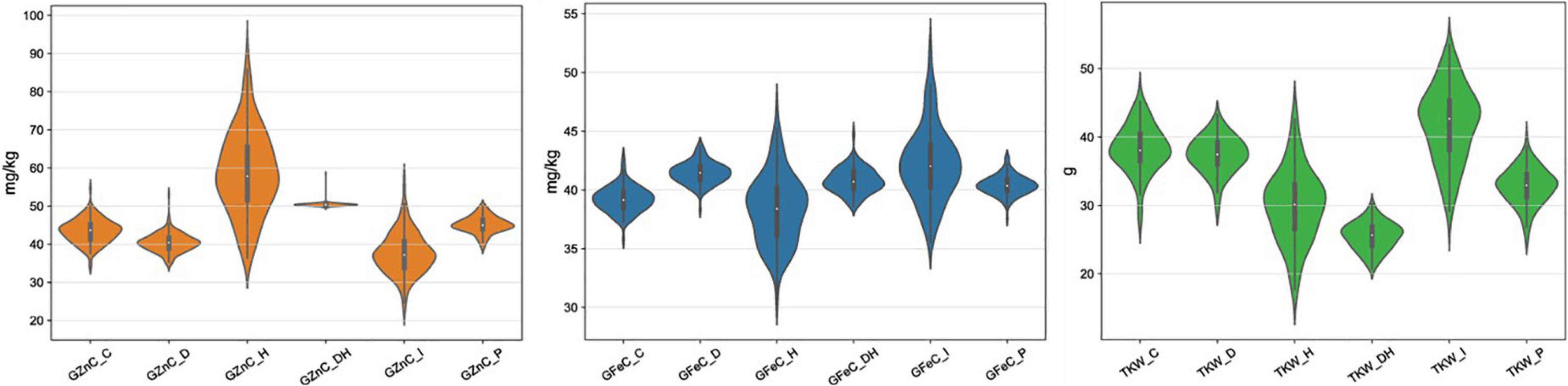 Mapping of the QTLs governing grain micronutrients and thousand kernel weight in wheat (Triticum aestivum L.) using high density SNP markers